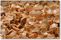 �s��(���ļ���)�������́A�R�����ŁA�P�������ȉ�